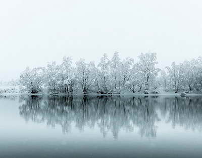 'Oskar' mükafatının qaliblərinin adları açıqlanıb
