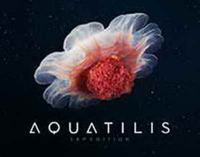 Bu aylarda doğulanlar ailənin ən güclü dayağına çevrilir