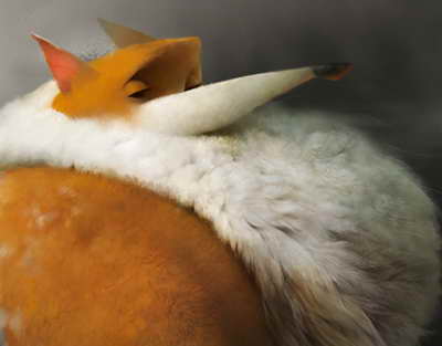 Тоқаев: «Тағдыршешті сәтке куә болдық»